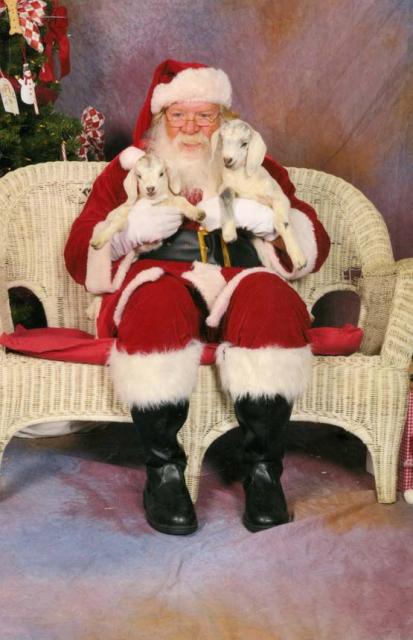 1751_babies_with_santa.jpg