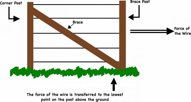 1894_n-brace2.jpg