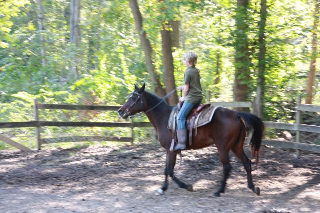 2213_riding_lesson_2_010.jpg