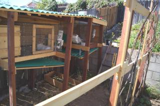 Freecycle rabbit hutch best sale