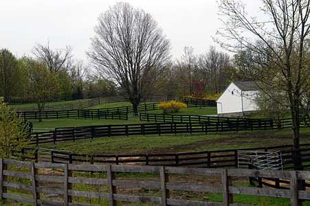 4522_paddocks.jpg