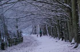 4522_snow_main_trail.jpg