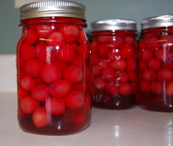 4775_bingcherries.jpg