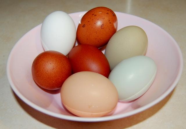 4775_eggbasket.jpg