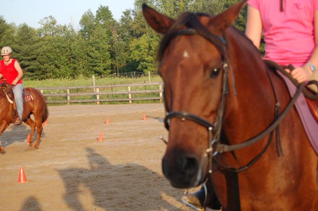 580_mom_and_brigittes_horseriding_lesson_august_13_2009_037.jpg