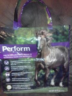 6617_horse_purpleperformance_safechoice.jpg