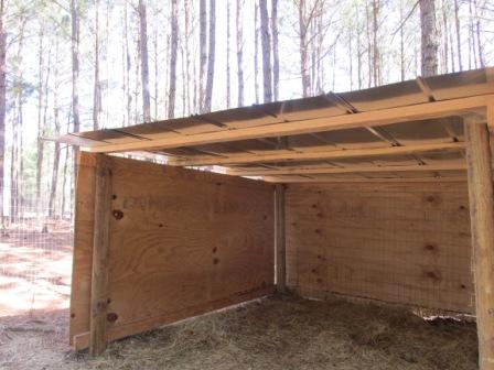 DIY Goat Sheds | BackYardHerds.com