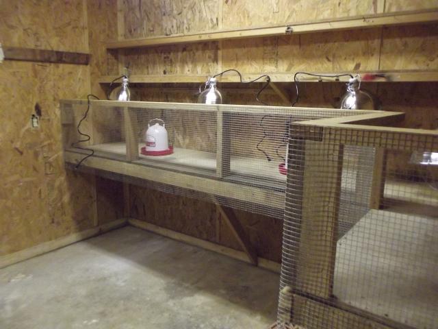 8293_chicken_brooder_032.jpg