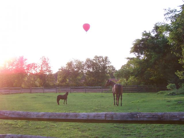 888_hot_air_balloon_008.jpg