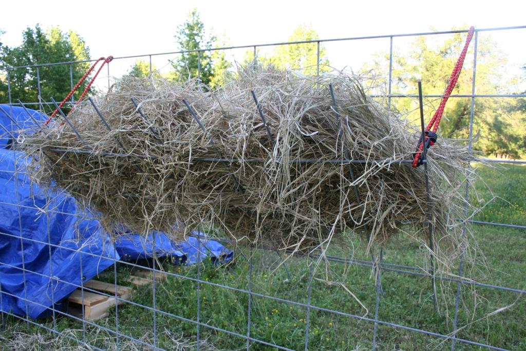 2017-4-23 hay feeder.JPG