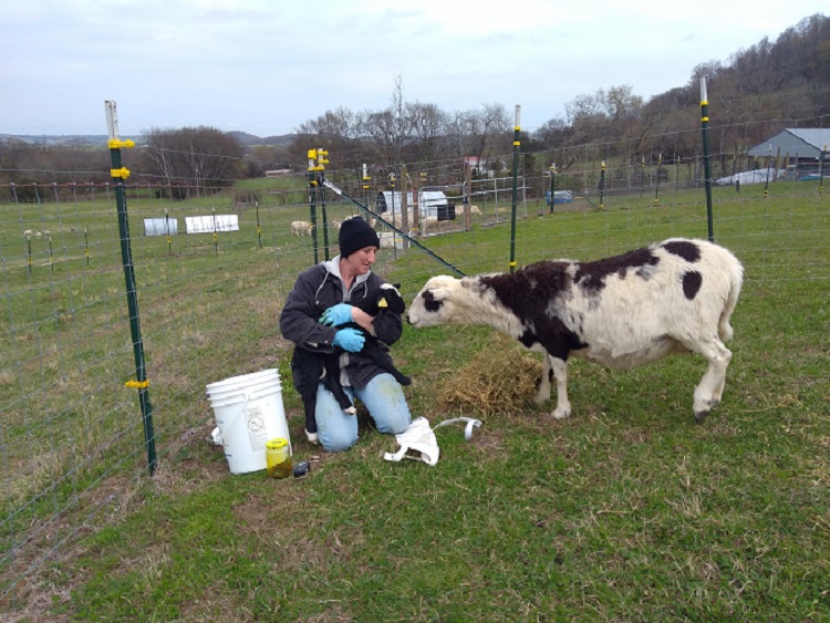 27 Mar 2018 T with mama and ewe lamb 37.jpg