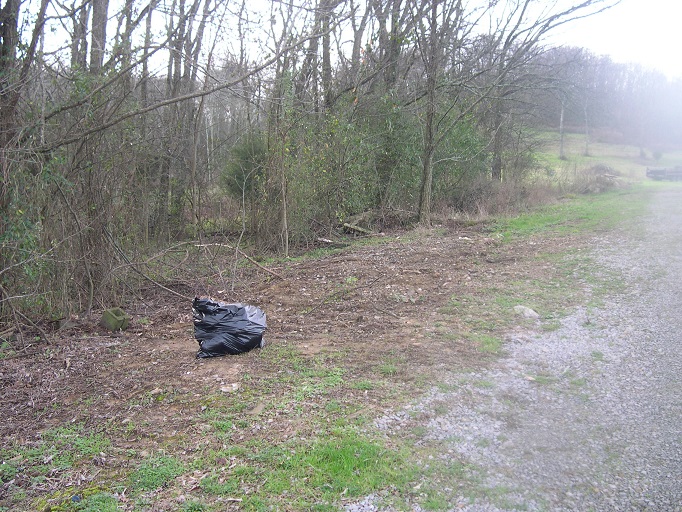 3 beside driveway Tenn xmas 2015 after clean up.jpg