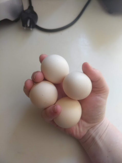 4 small egg.jpg