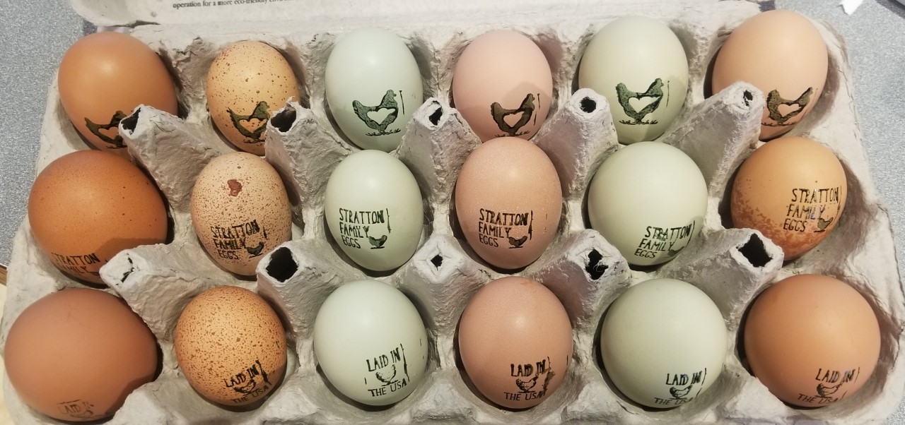 8.20.2020 First Stamped Eggs for D&J.jpg