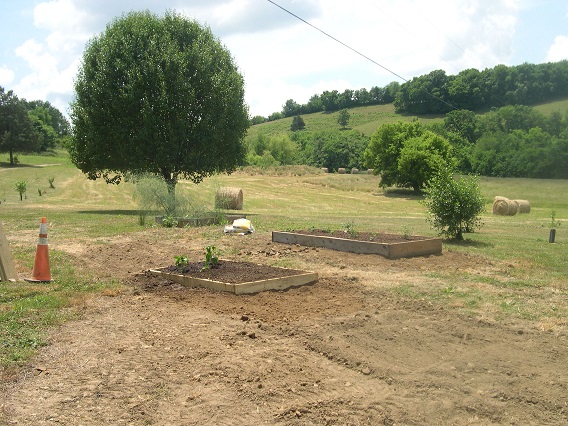 a 1raised beds done upload.JPG