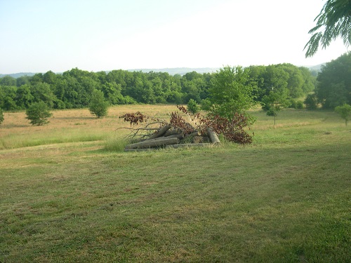 a1 tele poles burn pile Upload.JPG