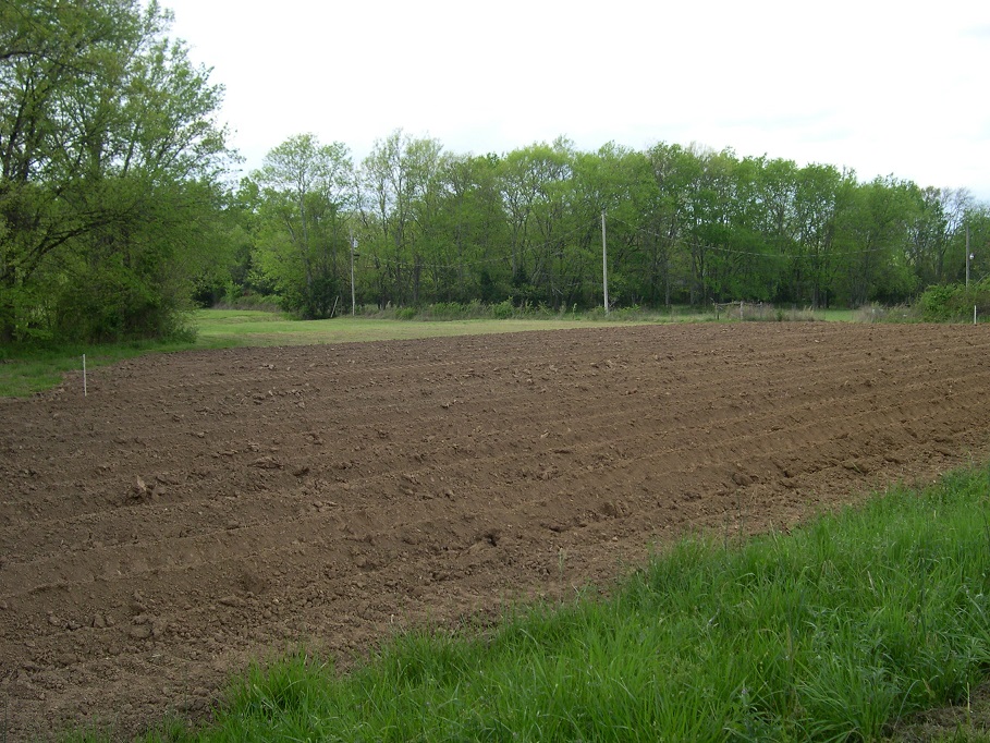 Big garden prepped Apr 2017.JPG