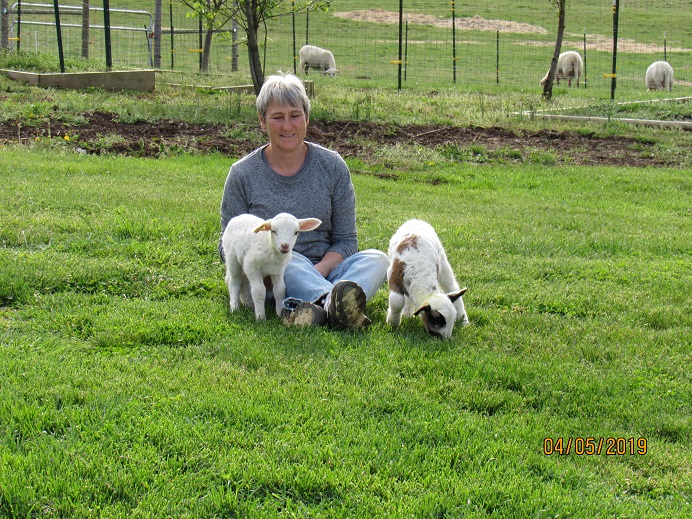 bottle lambs 5 Apr 2019.JPG