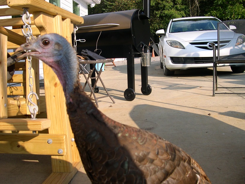 Brisket with Cheep Cheep.JPG