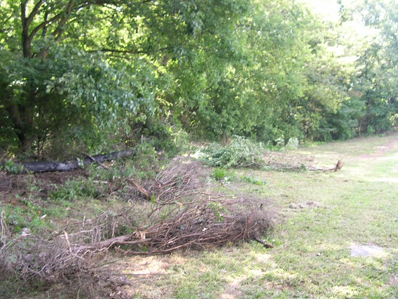 BYH NE Fence line clearing 25 Aug 2016.JPG