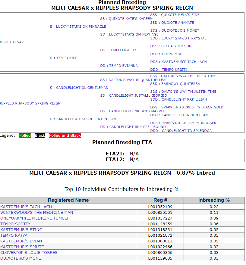 Capture.PNG  MLRT Caesar x Ripples Rhapsody Spring Reign.PNG