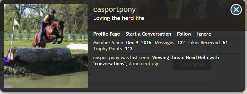 casportpony_1.PNG