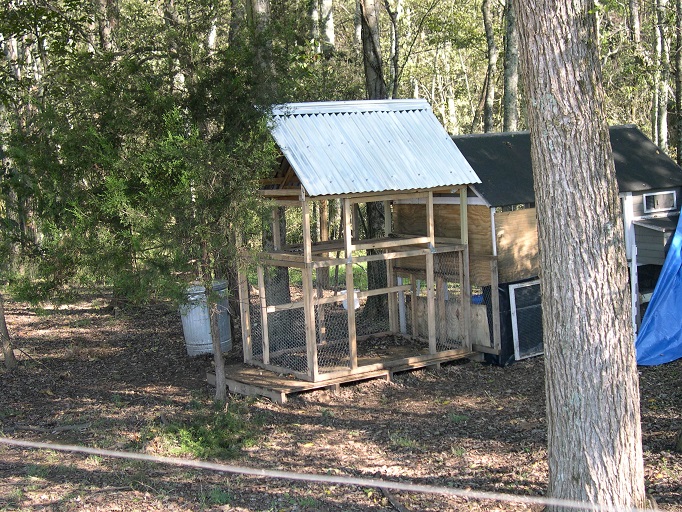 Chicken coop 11 Oct 2017.JPG