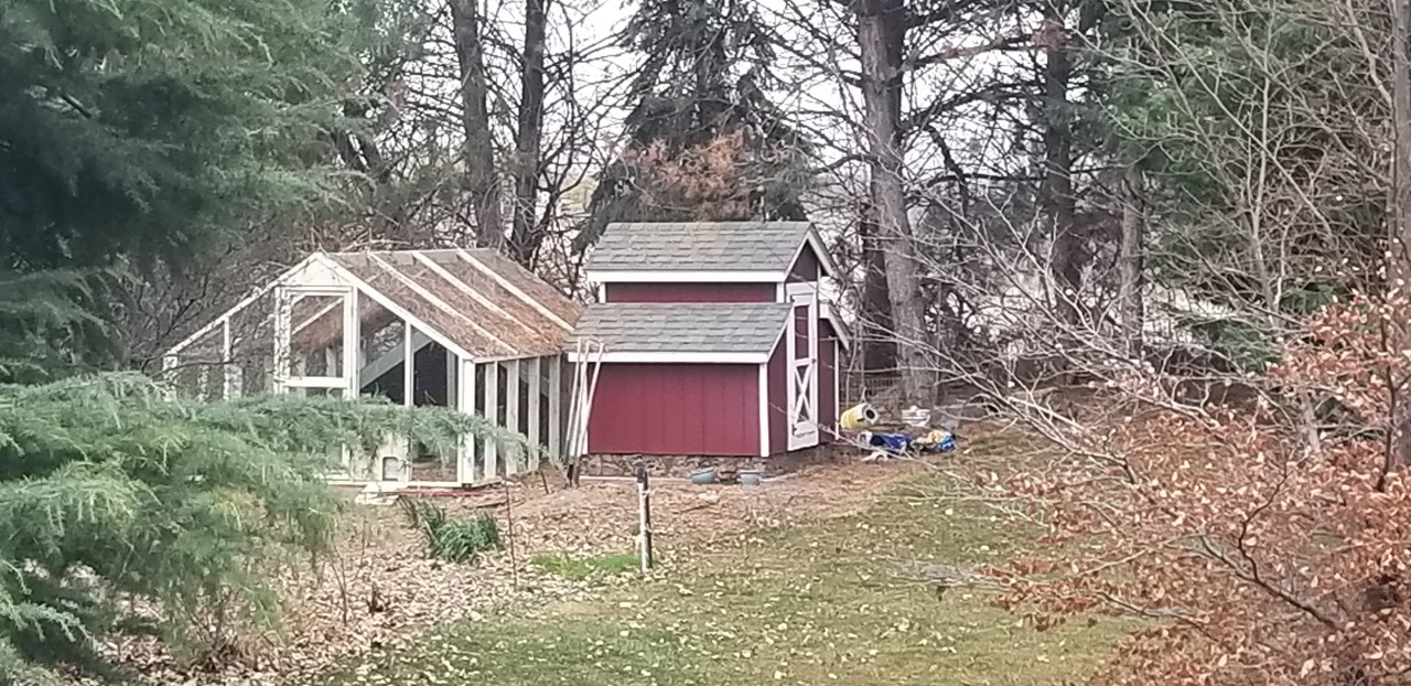 Chicken Coop.jpg