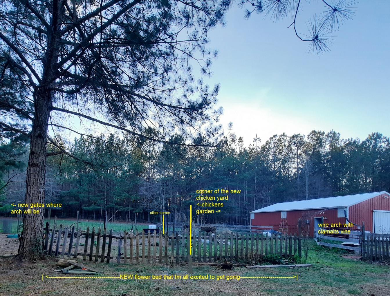 chicken yard - picket fence.jpg