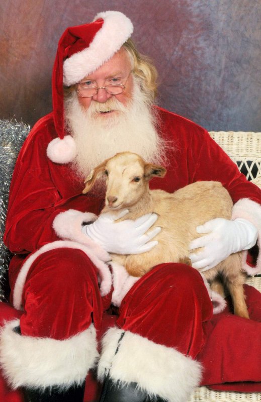 Cinny and Santa001.jpg