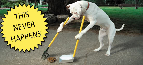 dog-cleaning-up-poop-never-happens2.jpg