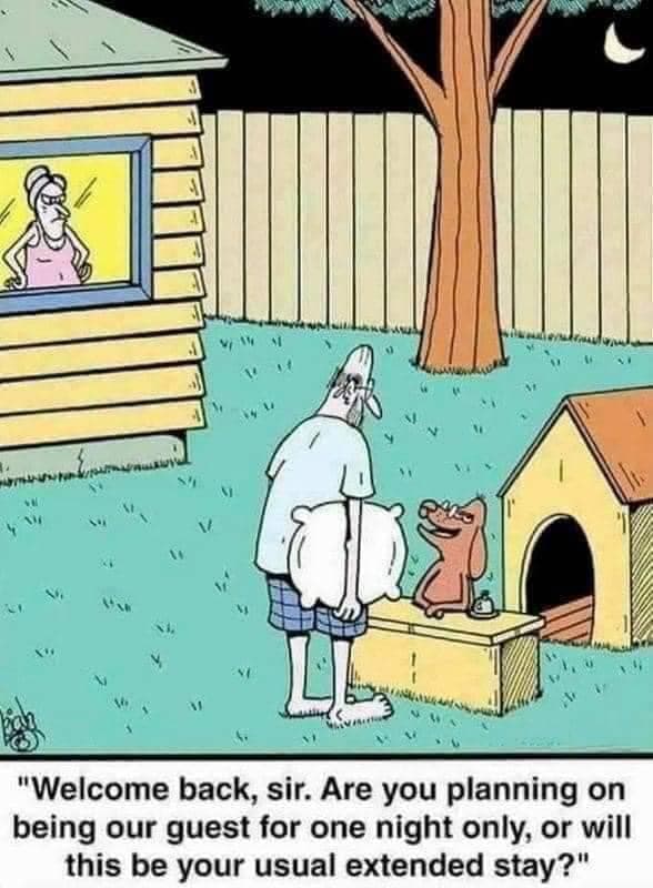 Dog house.jpeg