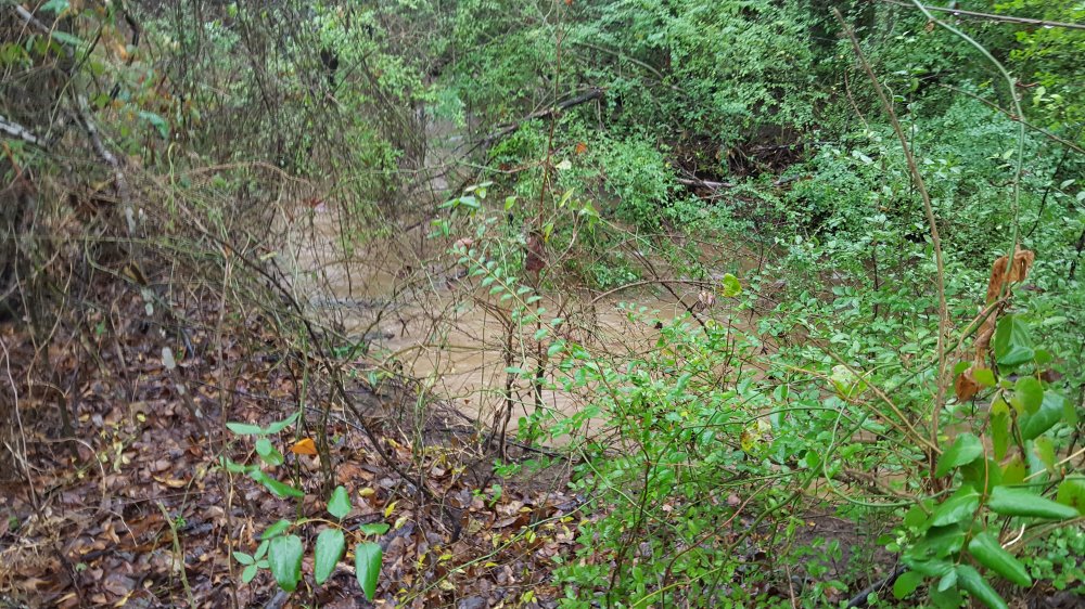 Dry creek flood 12-24-16 #1.jpg