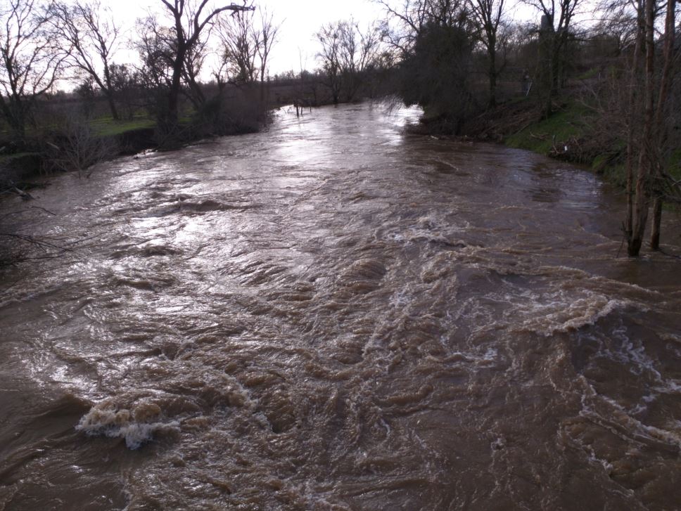 Dry Creek Flood.JPG