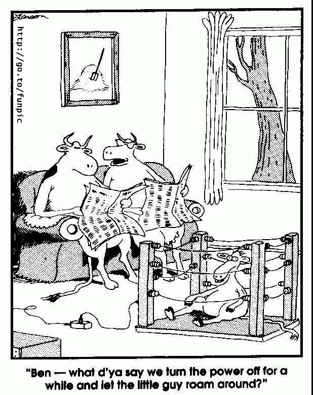 far side.jpg