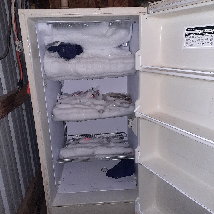 feed room freezer.jpg