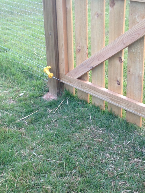 fence 3.jpg