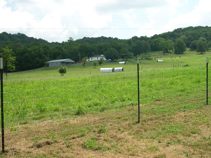 Fence NW Corner.JPG