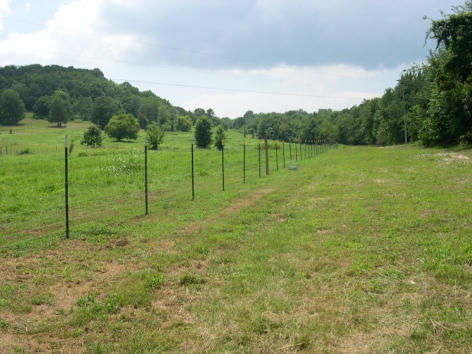 Fence west perimeter.JPG