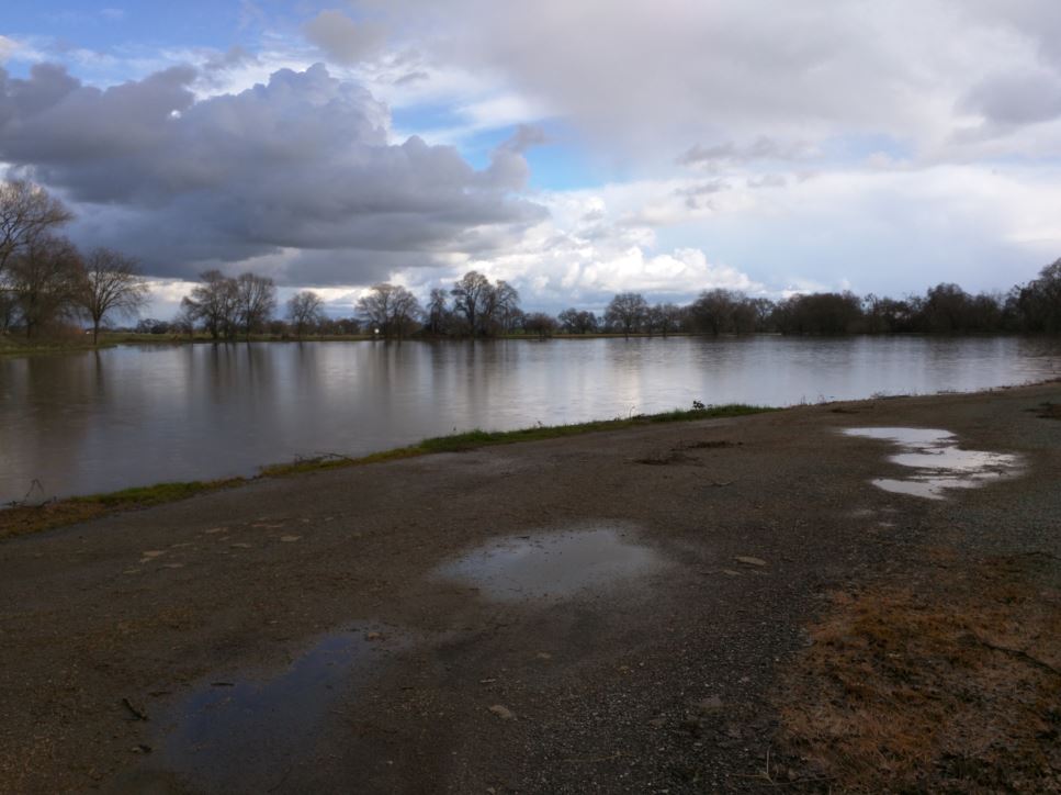 Flooded Field.JPG