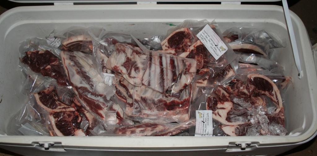 freezer lamb 1 2018-9-16.JPG