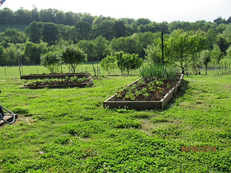 Garden beds 6 May 2018.JPG