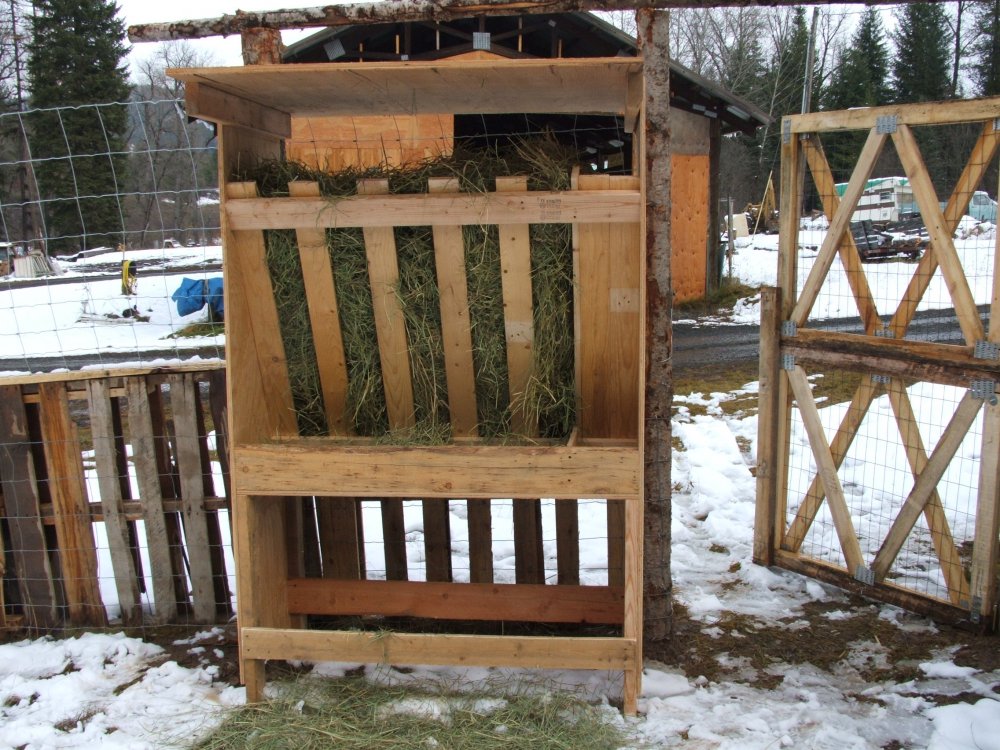 goat feeder 008.JPG