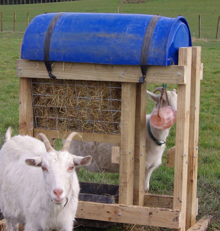 Goat hay stand.jpg