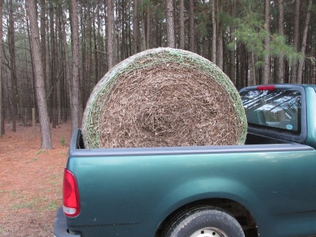 hay 10 In Truck.jpg