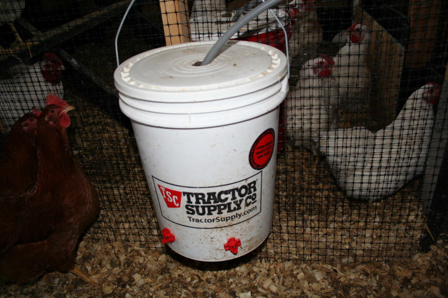 Heated bucket #2.JPG