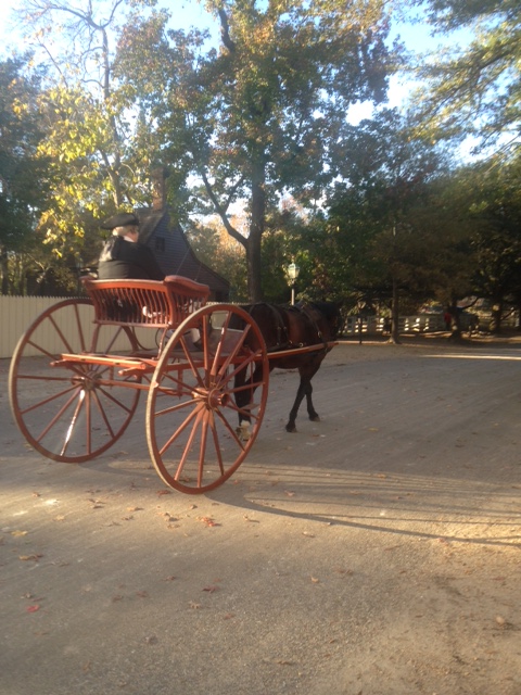 horse and buggy.jpg