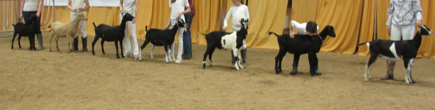 Int kids DQ & Trudy YS 4th 5th.JPG