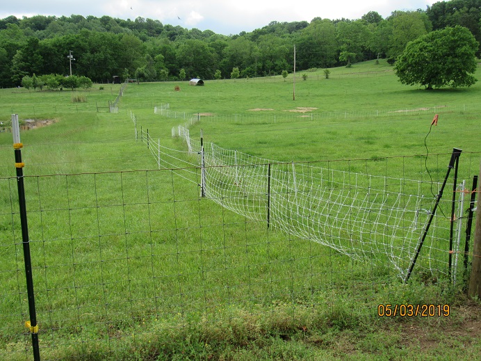 Intellirope fence.JPG