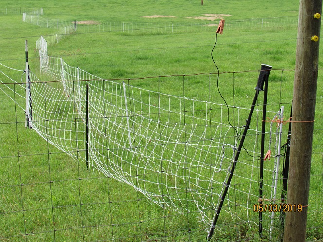 Intellirope fence2.JPG